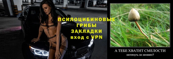 прущие грибы Баксан