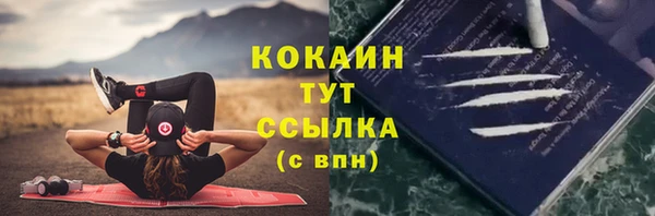 прущие грибы Баксан