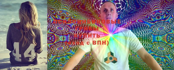 прущие грибы Баксан
