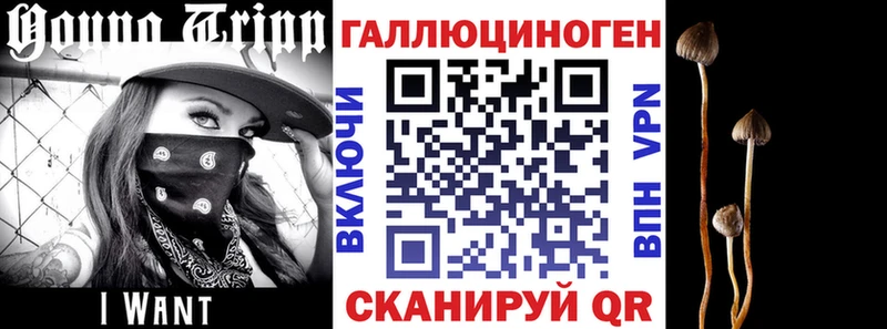 Галлюциногенные грибы Psilocybe  KRAKEN tor  Фокино  купить  цена 